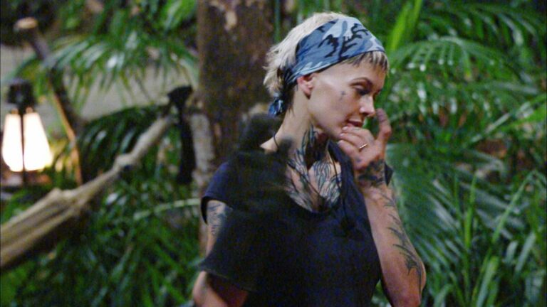 IBES 2025: Highlights from Day 11 in the RTL Jungle Camp - Which Contestant Got Eliminated?