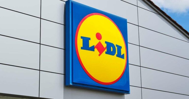 Lidl Faces Strike Action: 300 Stores Shut Down Across These Regions