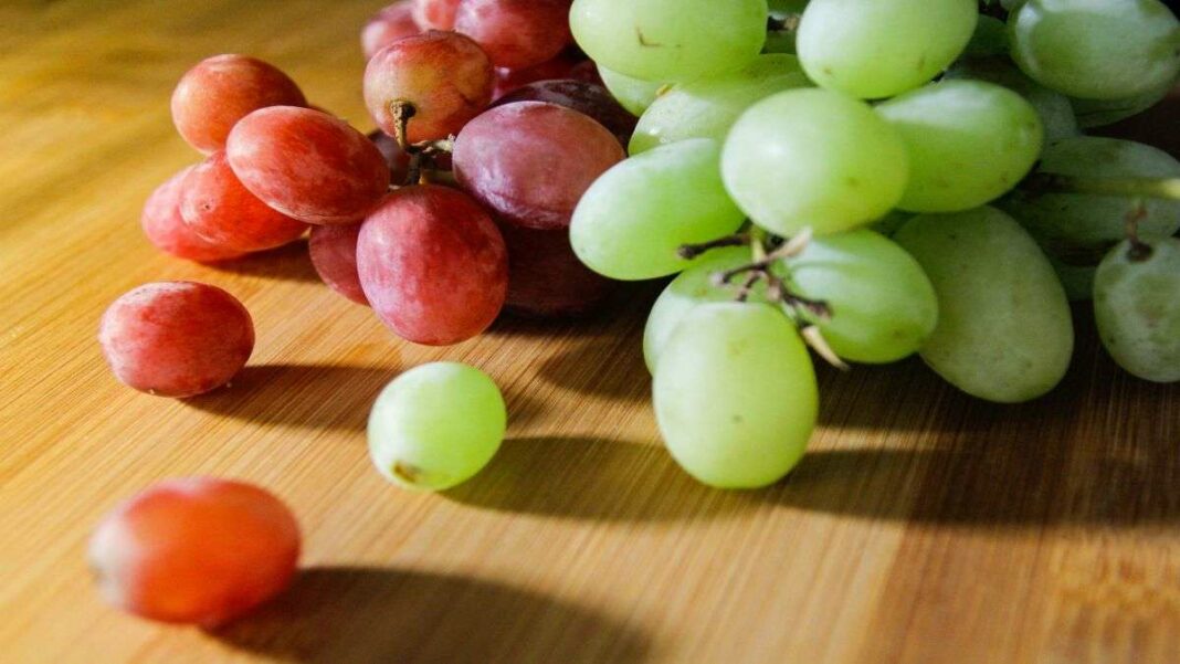 Health Benefits of Green vs. Red Grapes: Which is the Better Choice?