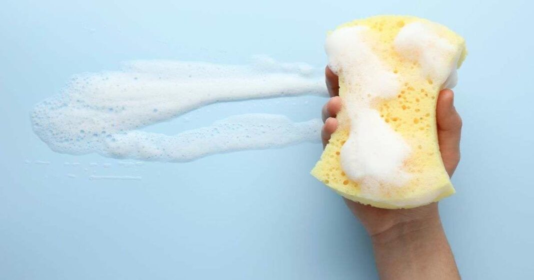 Boost Your Sponge's Longevity with This Easy Hygiene Tip