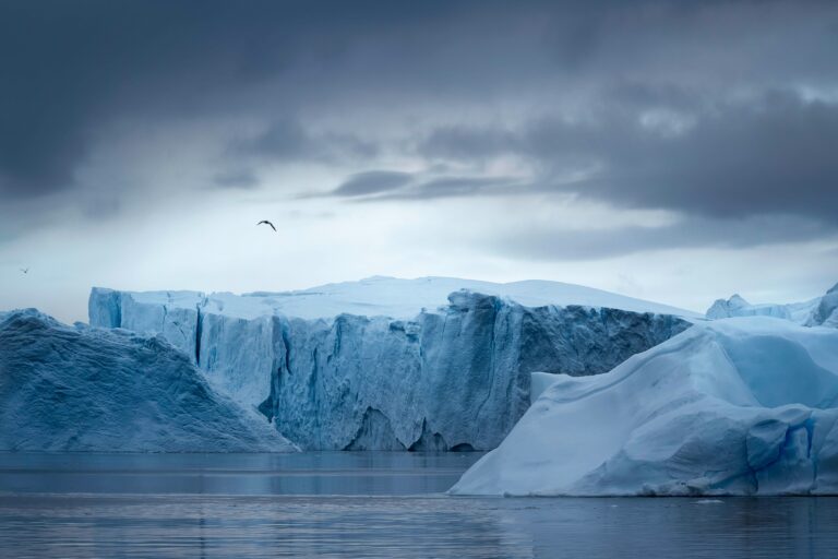 Swiss Polar Guide Shares Harrowing Experience of Survival Amidst Dangers of the Arctic