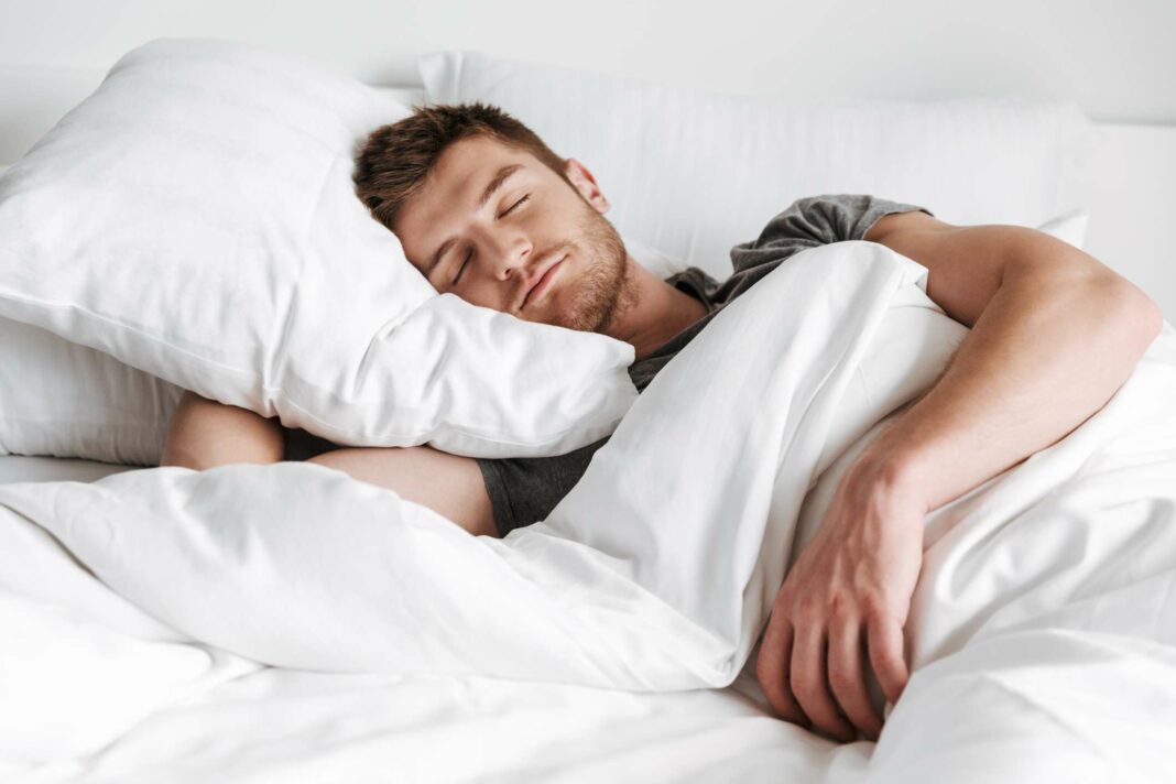 Sleep Soundly: Discover Three Plants That Enhance Your Rest