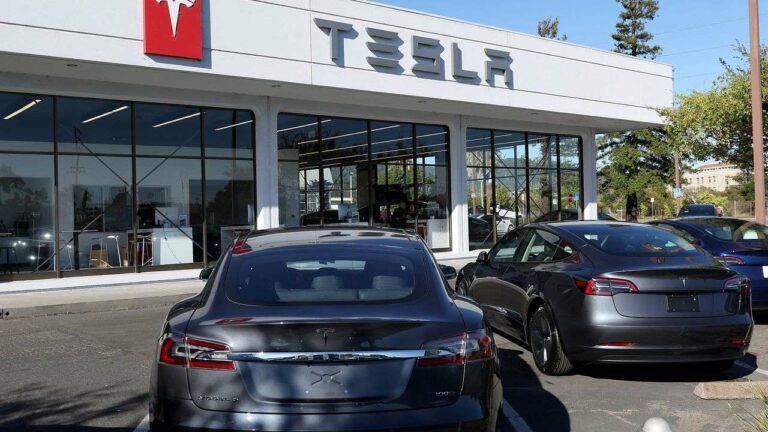 Tesla Sales Experience Significant Decline in France