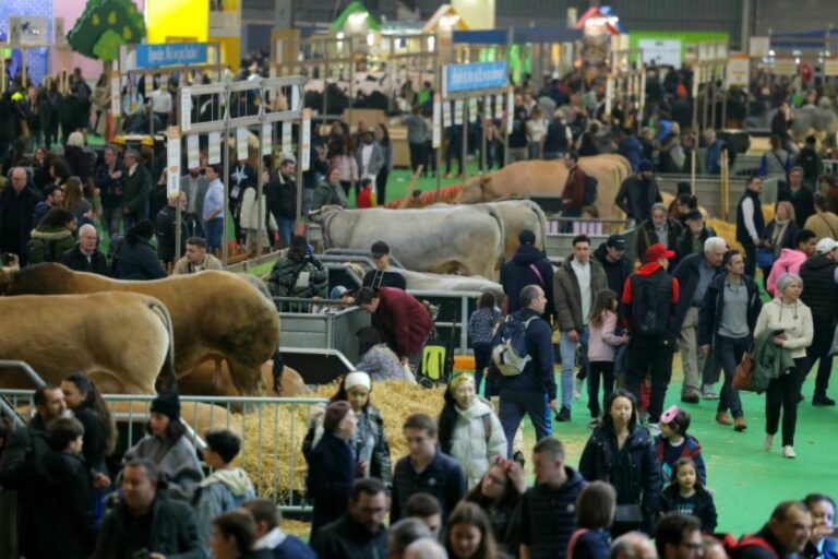 Agricultural Show Sees Modest Increase in Attendance and Restored Calm - March 2, 2025