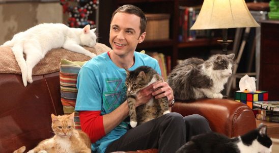 La star de Big Bang Theory dit que le retour de Young Sheldon est "bizarre"