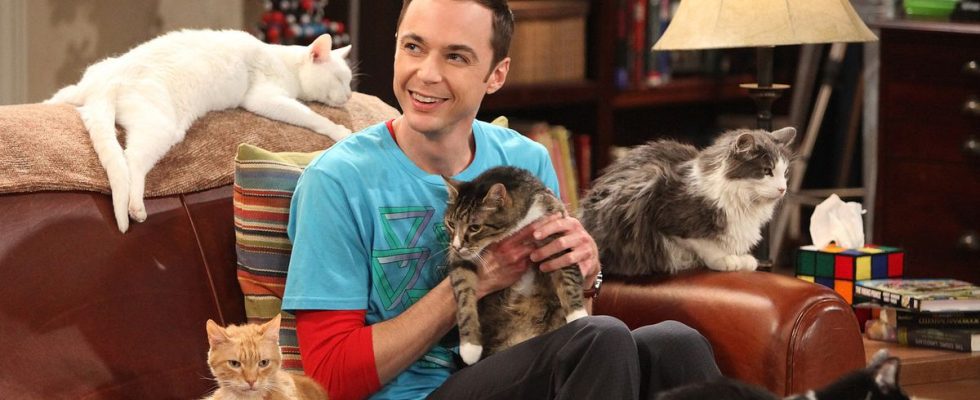 La star de Big Bang Theory dit que le retour de Young Sheldon est "bizarre"