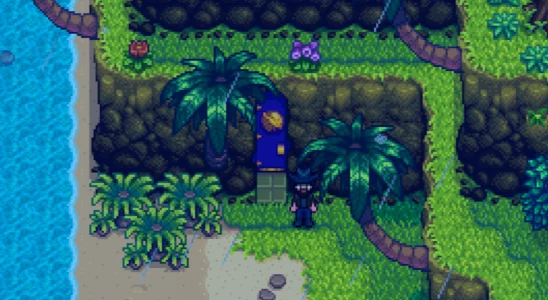 The entrance to Qi's Walnut Room in Stardew Valley