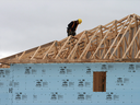 Un ouvrier du bâtiment travaille sur une maison dans un nouveau développement à Oakville, en Ontario. 