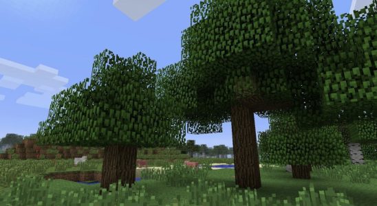 Aléatoire : le film Minecraft mettra en vedette des arbres, croyez-le ou non