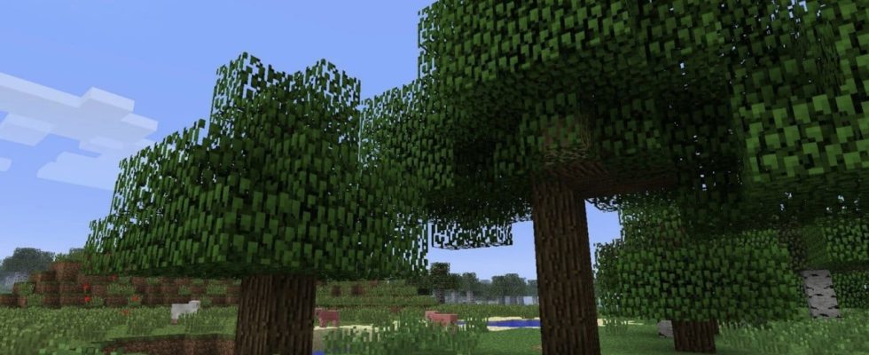 Aléatoire : le film Minecraft mettra en vedette des arbres, croyez-le ou non