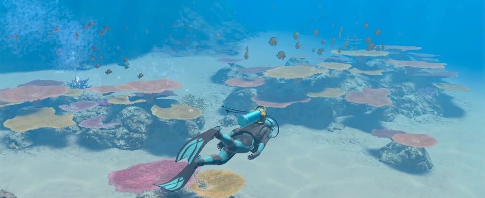 Nintendo révèle de nouveaux détails pour Endless Ocean Luminous