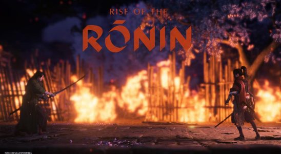 L'avènement du Ronin - Critique