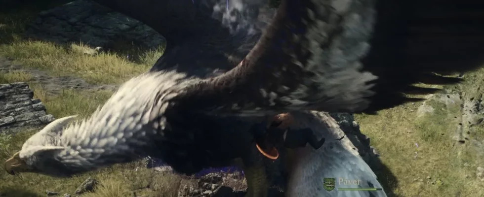 attacking a griffin with a pawn in dragons dogma 2