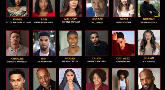 Beauty in Black TV Show on Netflix: canceled or renewed?