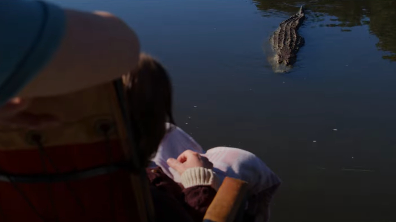 Theda l'alligator traque un humain regardant au-dessus de la surface de l'eau à Pearl.