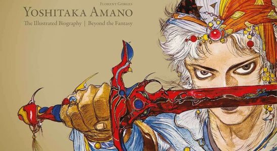 Certains magnifiques livres de Final Fantasy sont en vente à leurs prix les plus bas à ce jour