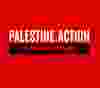 La couverture du manuel clandestin créé par Palestine Action.