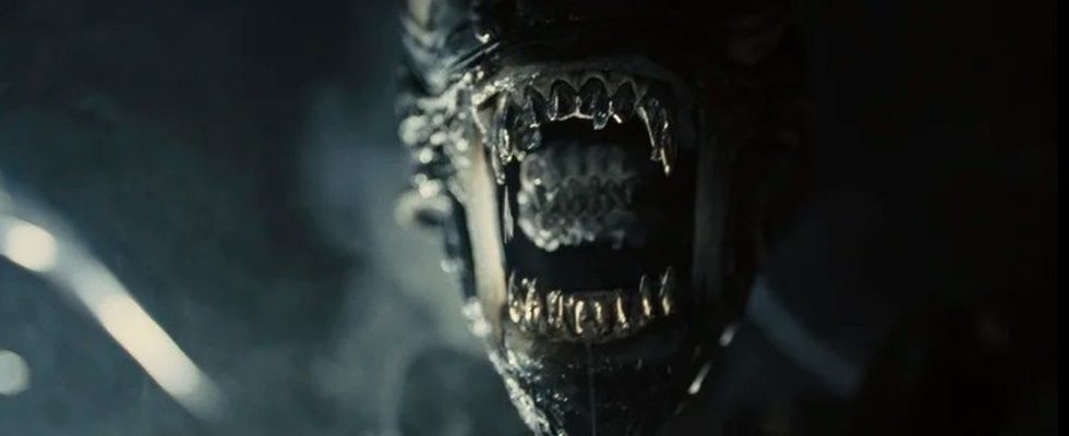 Alien : Réaction des images de Romulus : les xénomorphes pratiques et les Facehuggers apportent l'horreur [CinemaCon 2024]
