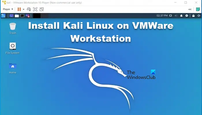 installer Kali Linux sur VMWare Workstation