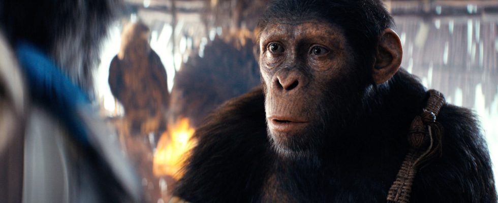 La durée d'exécution de Kingdom Of The Planet Of The Apes établit un record pour la franchise