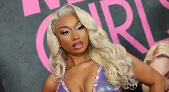 NEW YORK, NEW YORK - JANUARY 08: Megan Thee Stallion attends the "Mean Girls" premiere at AMC Lincoln Square Theater on January 08, 2024 in New York City. (Photo by Arturo Holmes/Getty Images)