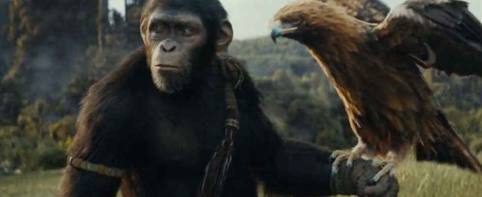 Le royaume de la planète des singes règne dans la bande-annonce IMAX