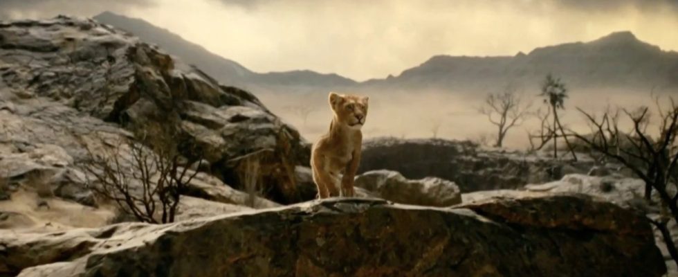Mufasa : Les images du Roi Lion taquinent une histoire de lion qui se transforme en richesse du lion [CinemaCon 2024]