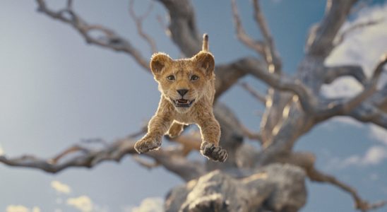 Rencontrez le lion qui voulait être roi dans la première bande-annonce de Mufasa : Le Roi Lion