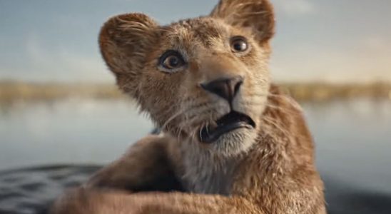 Mufasa : La bande-annonce du Roi Lion présente le retour de Timon et Pumbaa et plus encore