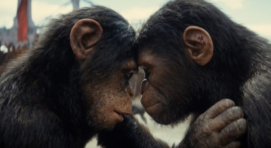 Les acteurs du "Royaume de la planète des singes" n'arrêtent pas de se saluer en tant que primates : "Cela ne disparaîtra jamais" Le plus populaire à lire absolument Abonnez-vous aux newsletters variées Plus de nos marques