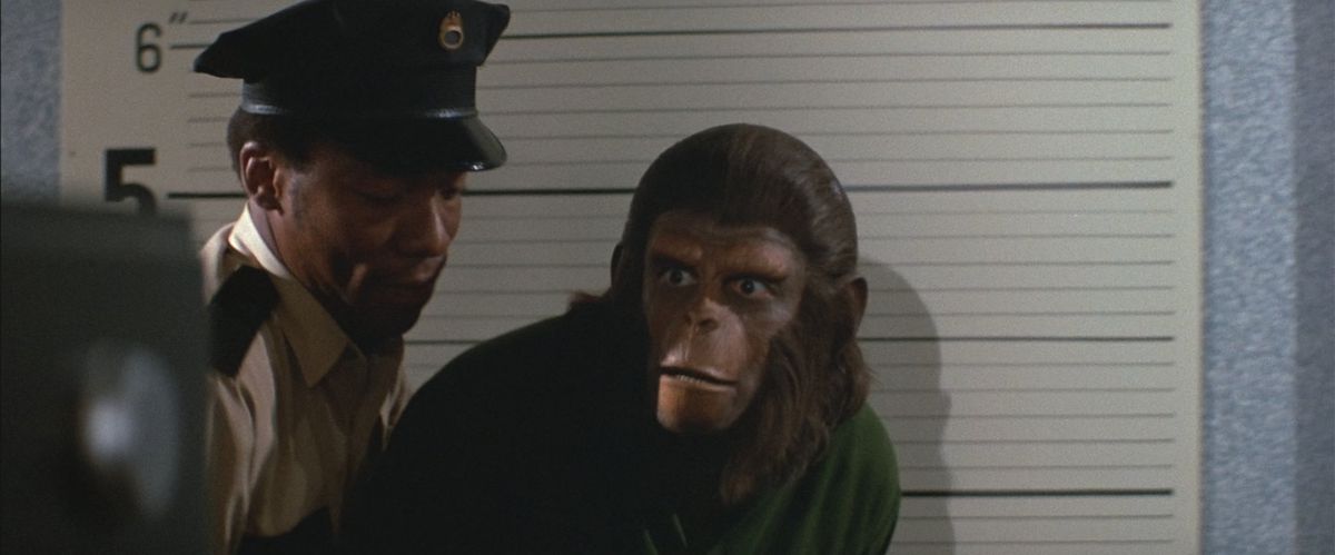 Un singe choqué détenu par un policier devant un arrière-plan de photos dans La Conquête de la planète des singes.