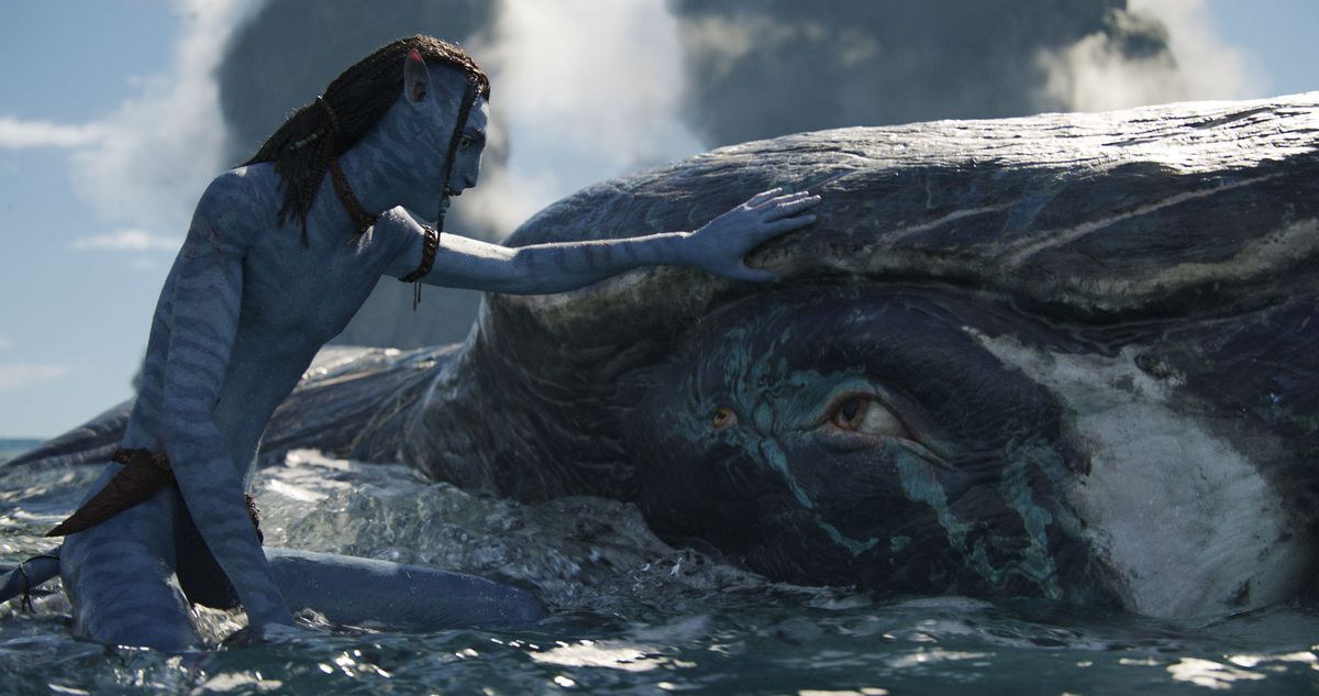 Lo'ak le Na'vi touche un tulkun, une créature ressemblant à une baleine, dans la mer de Pandore dans Avatar : La Voie de l'Eau