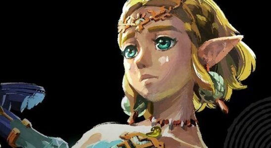 Nintendo travaille peut-être sur un jeu Legend Of Zelda avec Zelda comme personnage principal