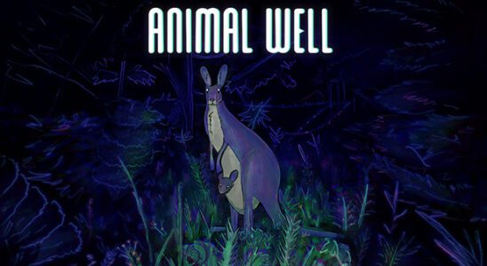 Animal Well - Critique - Gamer Social Club