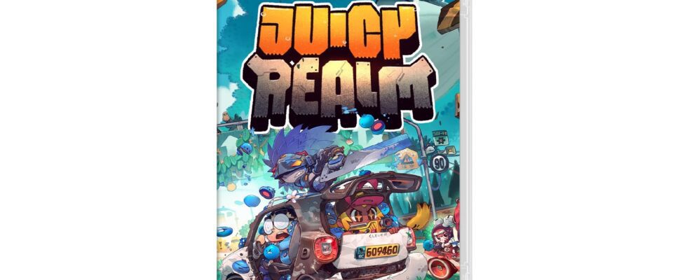 Juicy Realm obtient une sortie physique sur Switch