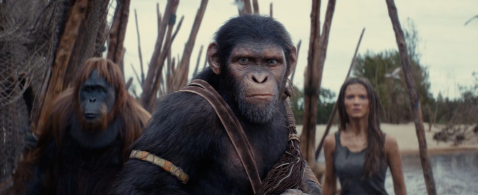 Le Royaume de la planète des singes devrait dominer le box-office en mai