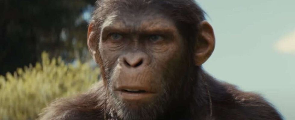Le nouveau clip du Royaume de la planète des singes montre 7 minutes de film – Regardez maintenant