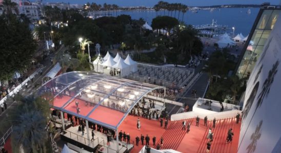 Cannes placeholder