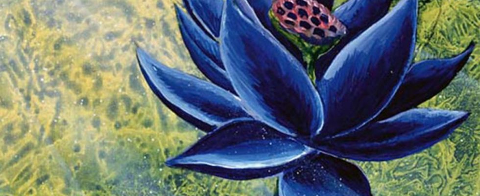 Magic: The Gathering Black Lotus vendu pour un montant record de 3 millions de dollars