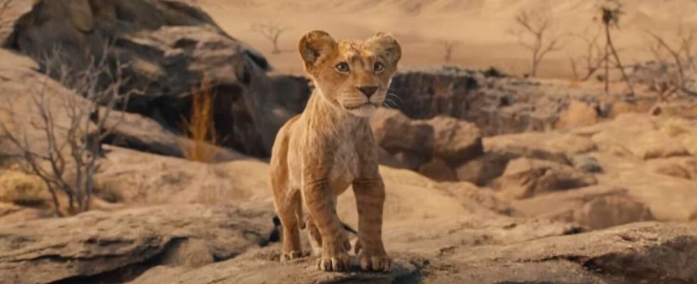 Mufasa : Le Roi Lion est-il « sans âme » ?  Le réalisateur riposte aux critiques