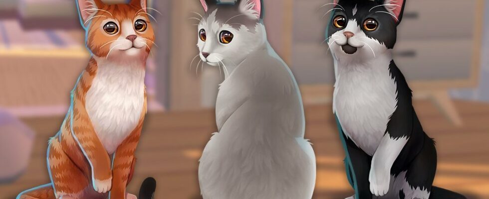Cat Rescue Story sort sur Switch