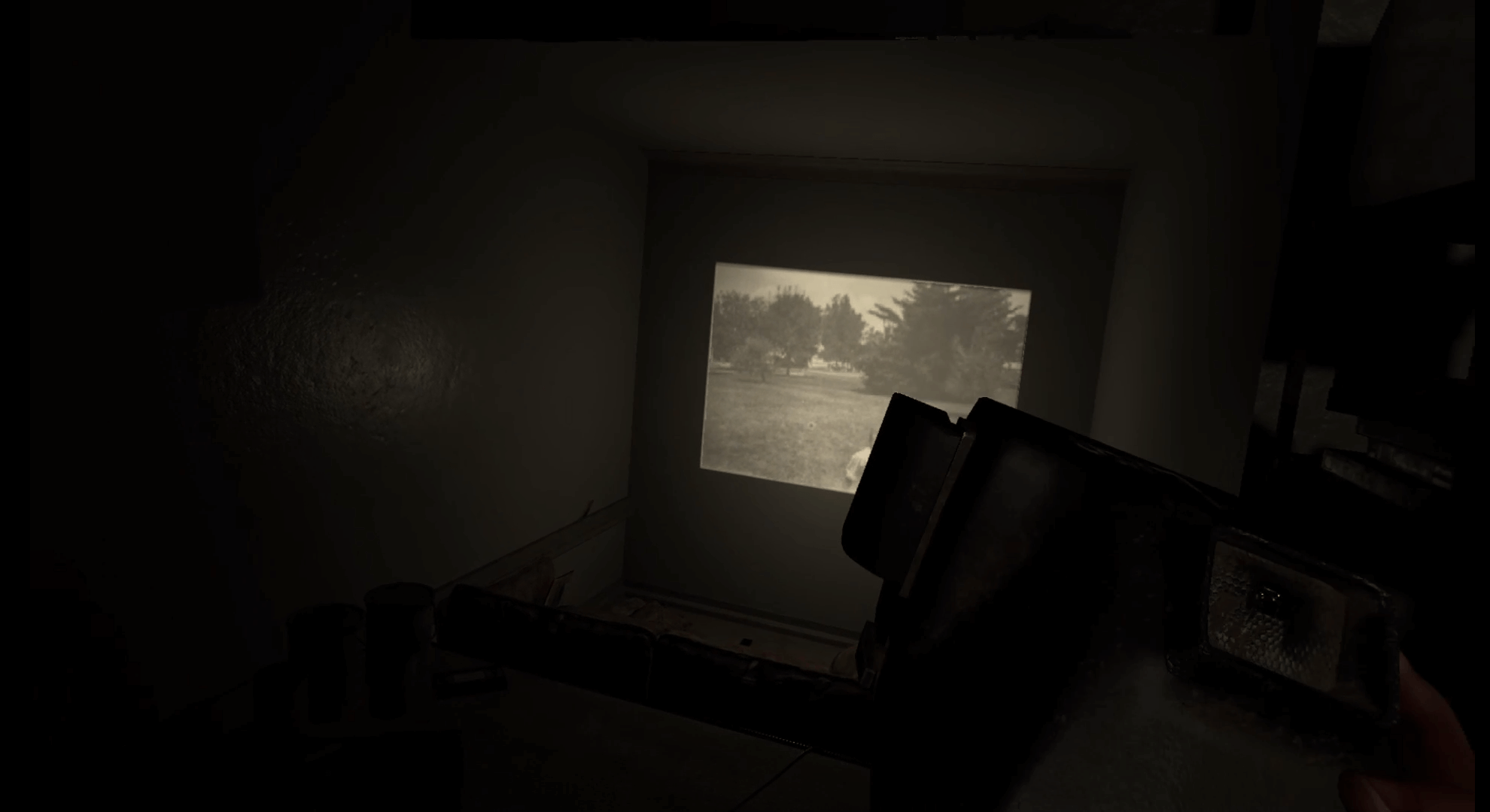 capture d'écran de Madison VR.  un appareil photo polaroïd est tendu devant.  devant nous se trouve une salle de cinéma permettant de projeter des photos de famille à partir d'un projecteur.  sur le mur une photo est projetée.  la photo au dos et en blanc montre un jeune garçon sur un champ avec des arbres en arrière-plan