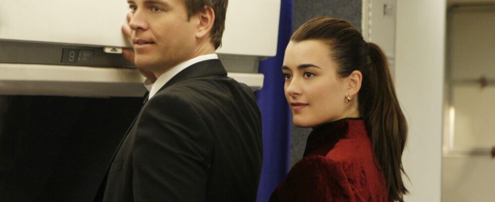 Michael Weatherly and Cote de Pablo in