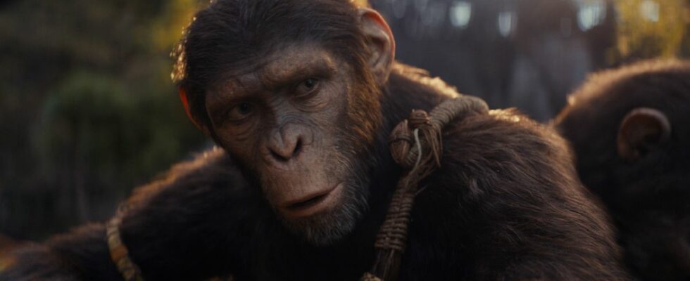 Noa looks forward with a face of curiosity in Kingdom of the Planet of the Apes.