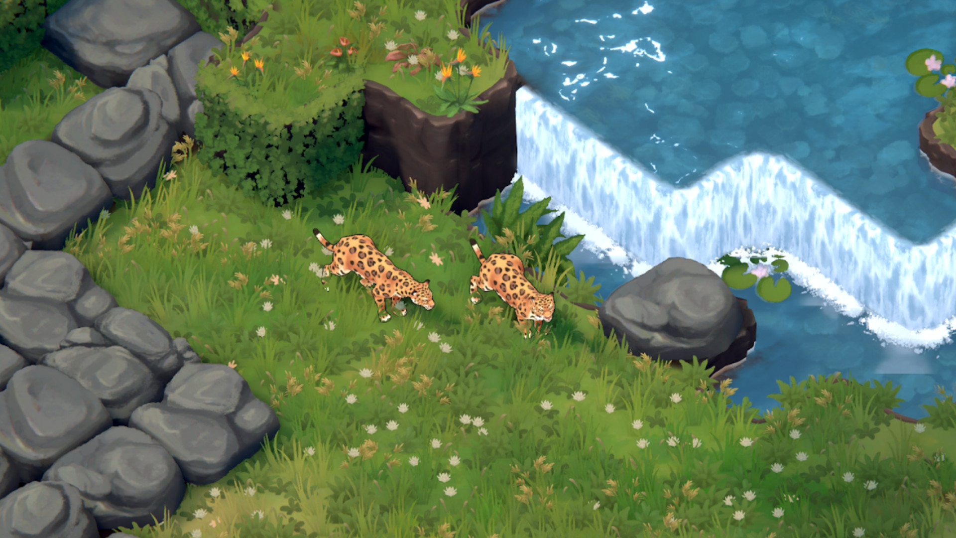 Mise à jour Terra Nil Vita Nova - deux léopards explorent l'herbe au bord d'une rivière.