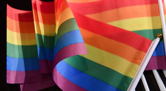 01 July 2020, Berlin: Rainbow flags are lying on a table at a press tremor for the presentation of the Pride collection in the Hard Rock Cafe. Photo by: Jens Kalaene/picture-alliance/dpa/AP Images