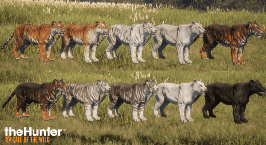 Journal des développeurs : Présentation du majestueux tigre du Bengale