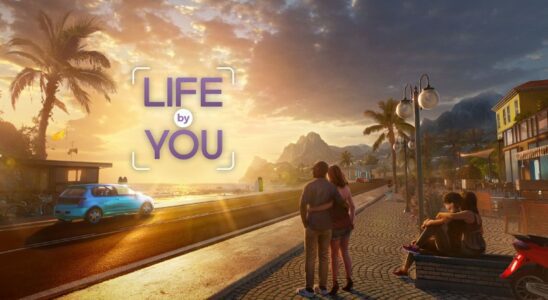 Paradox Interactive ferme Tectonic Studio la même semaine où il a annulé son premier jeu, Life By You