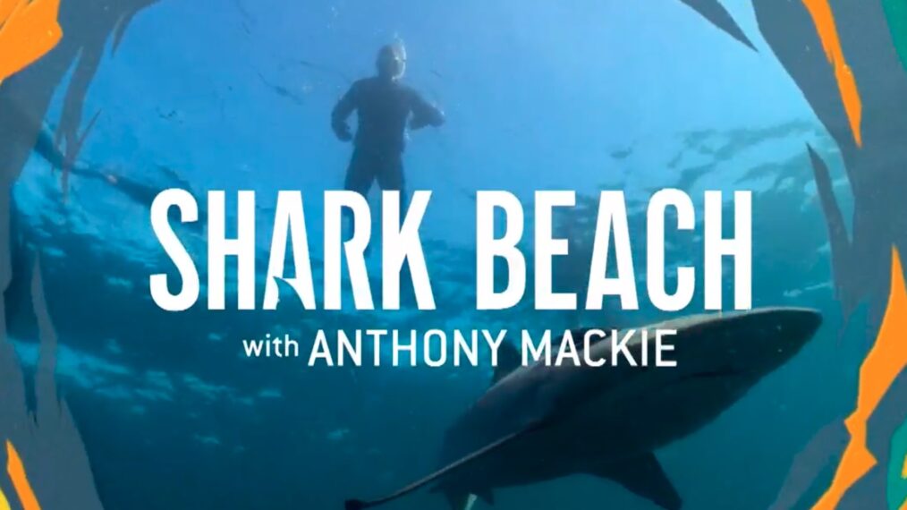 Plage aux requins avec Anthony Mackie