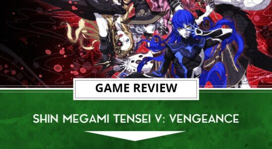 Critique de Vengeance – Combat et finesse